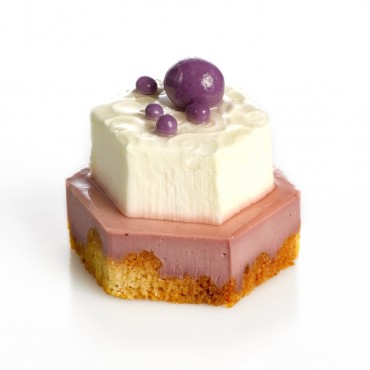 YOGUR CON MORAS 20X90GRS