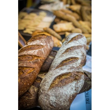 PAN LE PETIT SARRASIN...