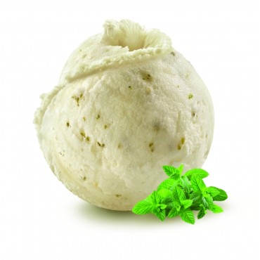 S MENTA FRESCA CON HOJAS 2,5L