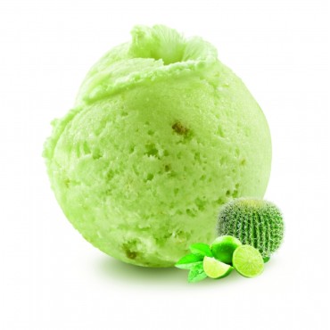 SM CACTUS LIMON VERDE 2,5L