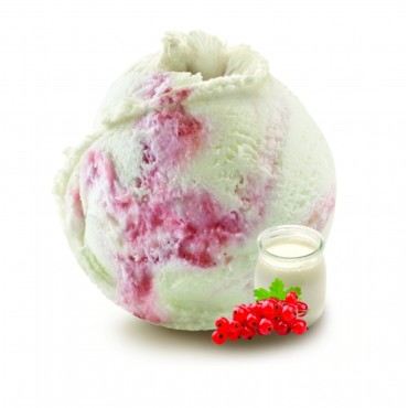 GA BULGARO GROSELLA 2,5L