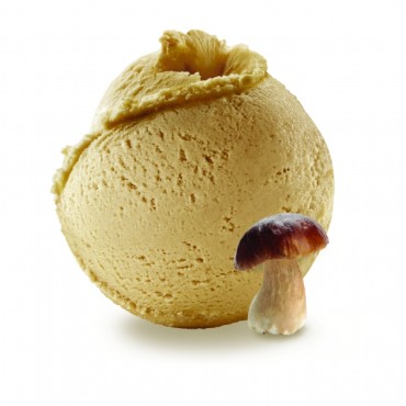 HE CEPES-HELADO HONGOS CG 2,5L