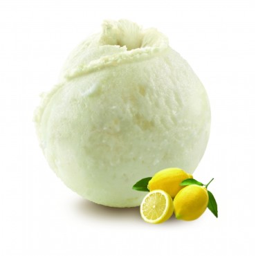 SORBETE LIMON BIO 2,5L