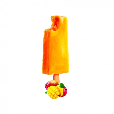 G PALETINA MANGO 120GX25